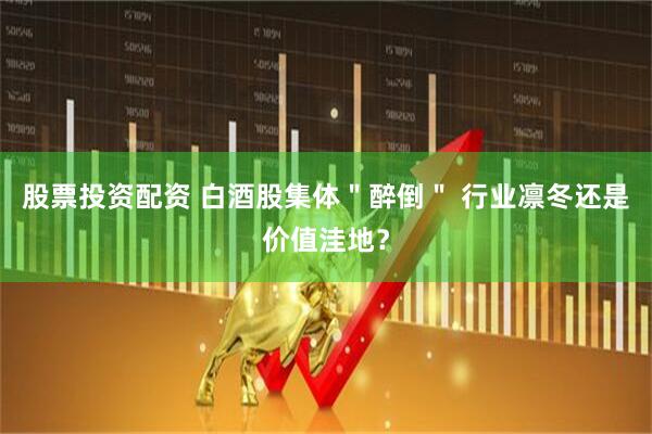 股票投资配资 白酒股集体＂醉倒＂ 行业凛冬还是价值洼地？