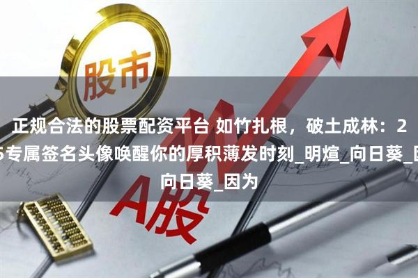 正规合法的股票配资平台 如竹扎根，破土成林：2025专属签名头像唤醒你的厚积薄发时刻_明煊_向日葵_因为