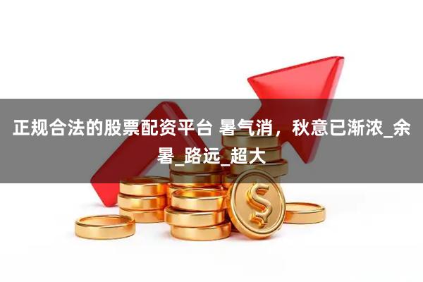 正规合法的股票配资平台 暑气消，秋意已渐浓_余暑_路远_超大