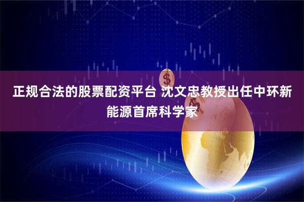 正规合法的股票配资平台 沈文忠教授出任中环新能源首席科学家